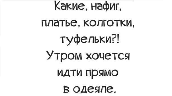 https://i.postimg.cc/NFD2QgvX/11037885-592983270836228-2824128482727686946-n.jpg