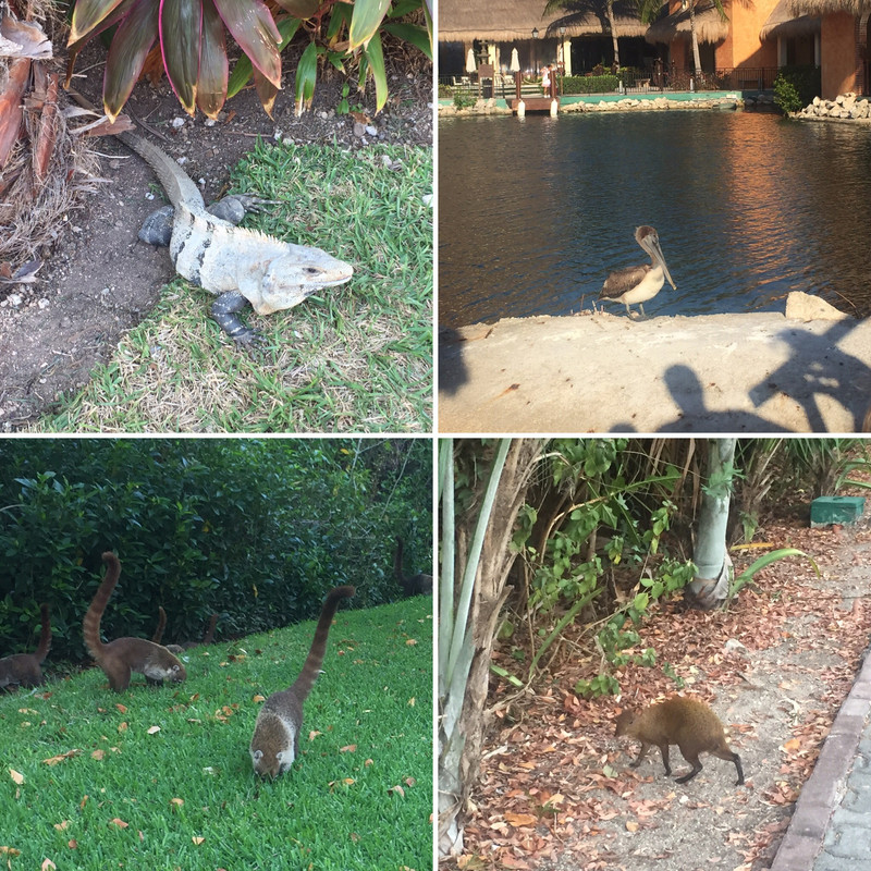 AA54A115-2B41-448B-A668-A7C9F34F98B1