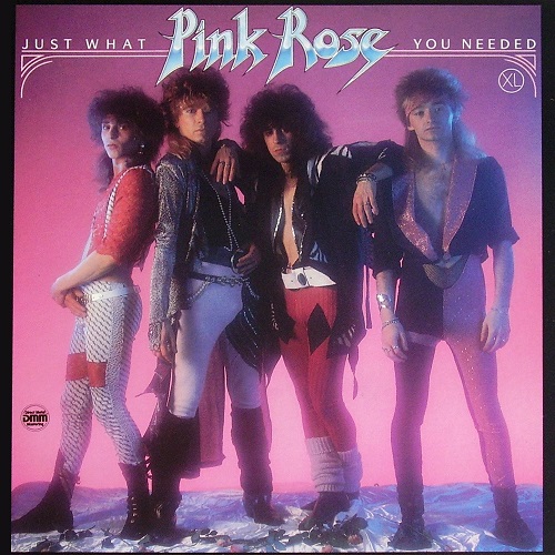 Pink Rose - Just what you needed (1986)