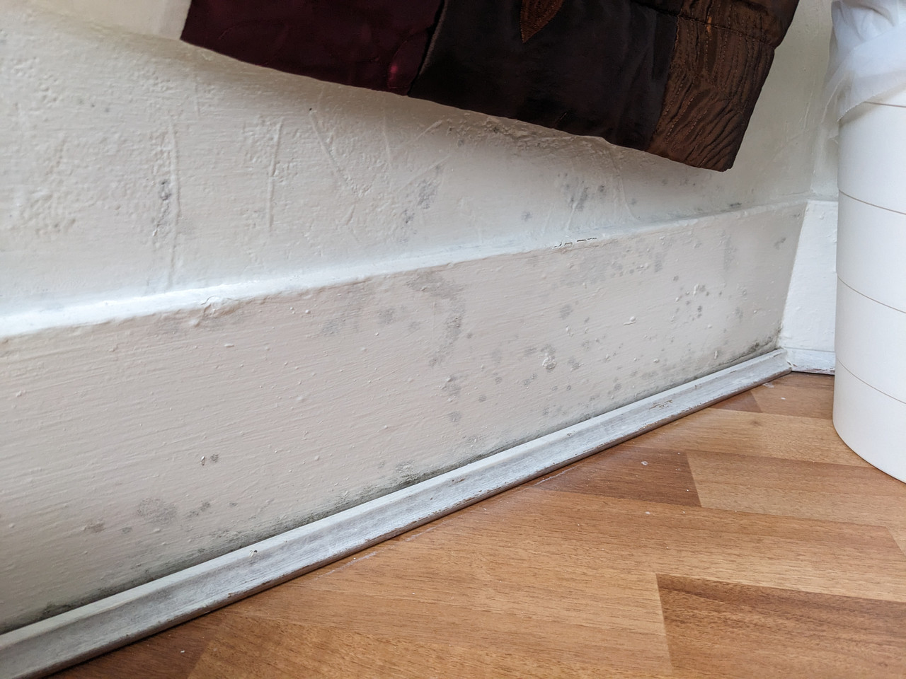 PXL 20260312 100654870 MP