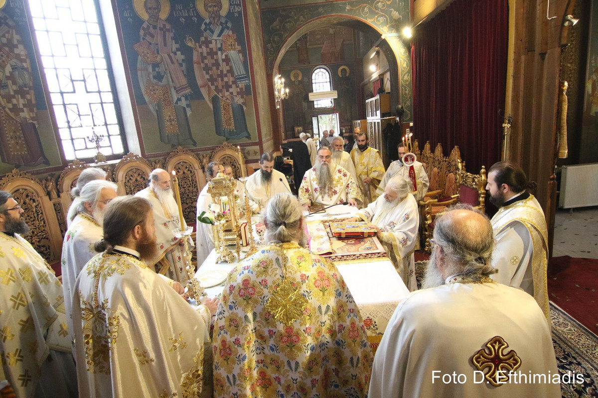 IMGL3681 (Αντιγραφή)