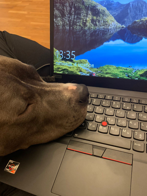 B32681C7-8963-4BA9-99A8-060EBD3F48DD