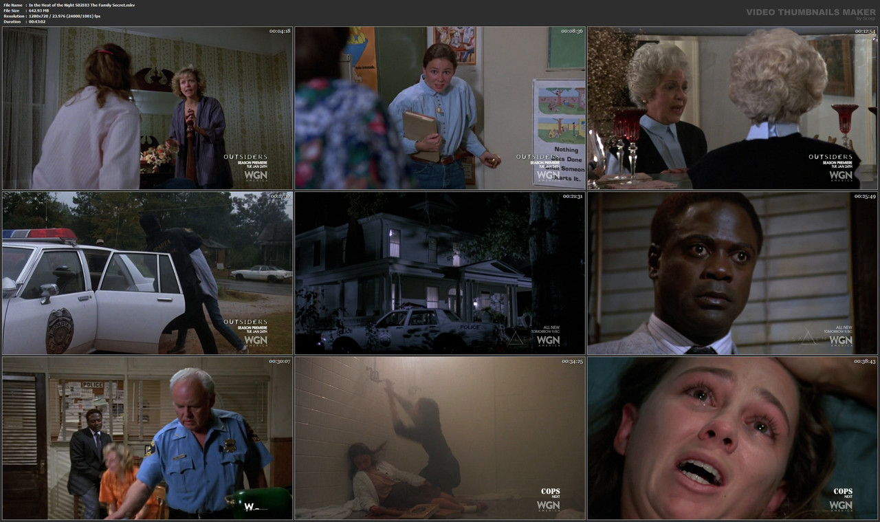 In the Heat of the Night S02E03 The Family Secret.mkv