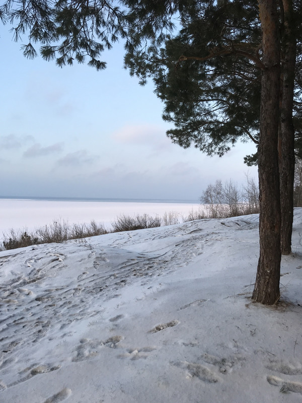 B39B065C-F89D-48C7-9115-754CEE8C0FE2