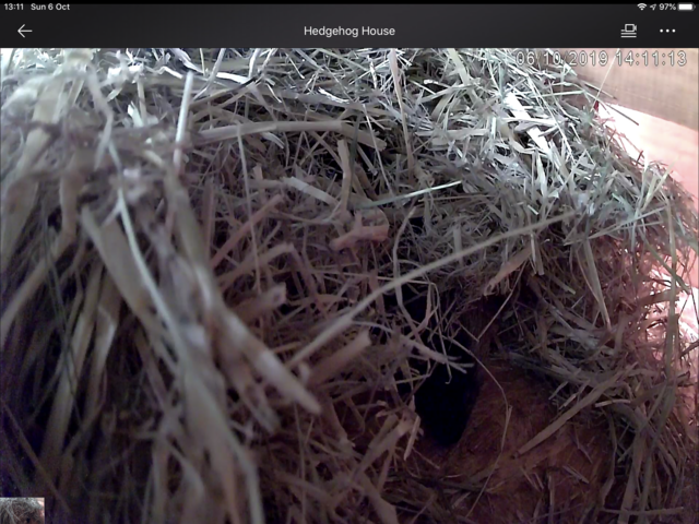 D1238995-90E2-47E8-B520-2E3B0C7CCC3D