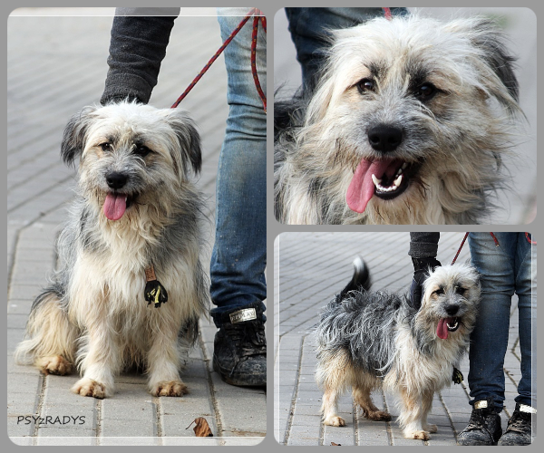 BeFunky-collage (22)