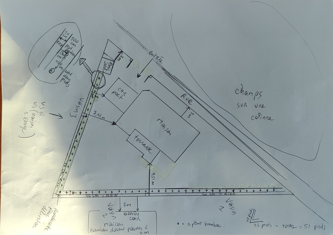 Schéma-jardin-bambou