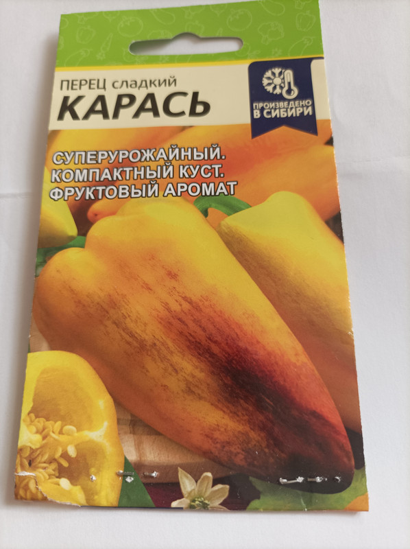 карась 1