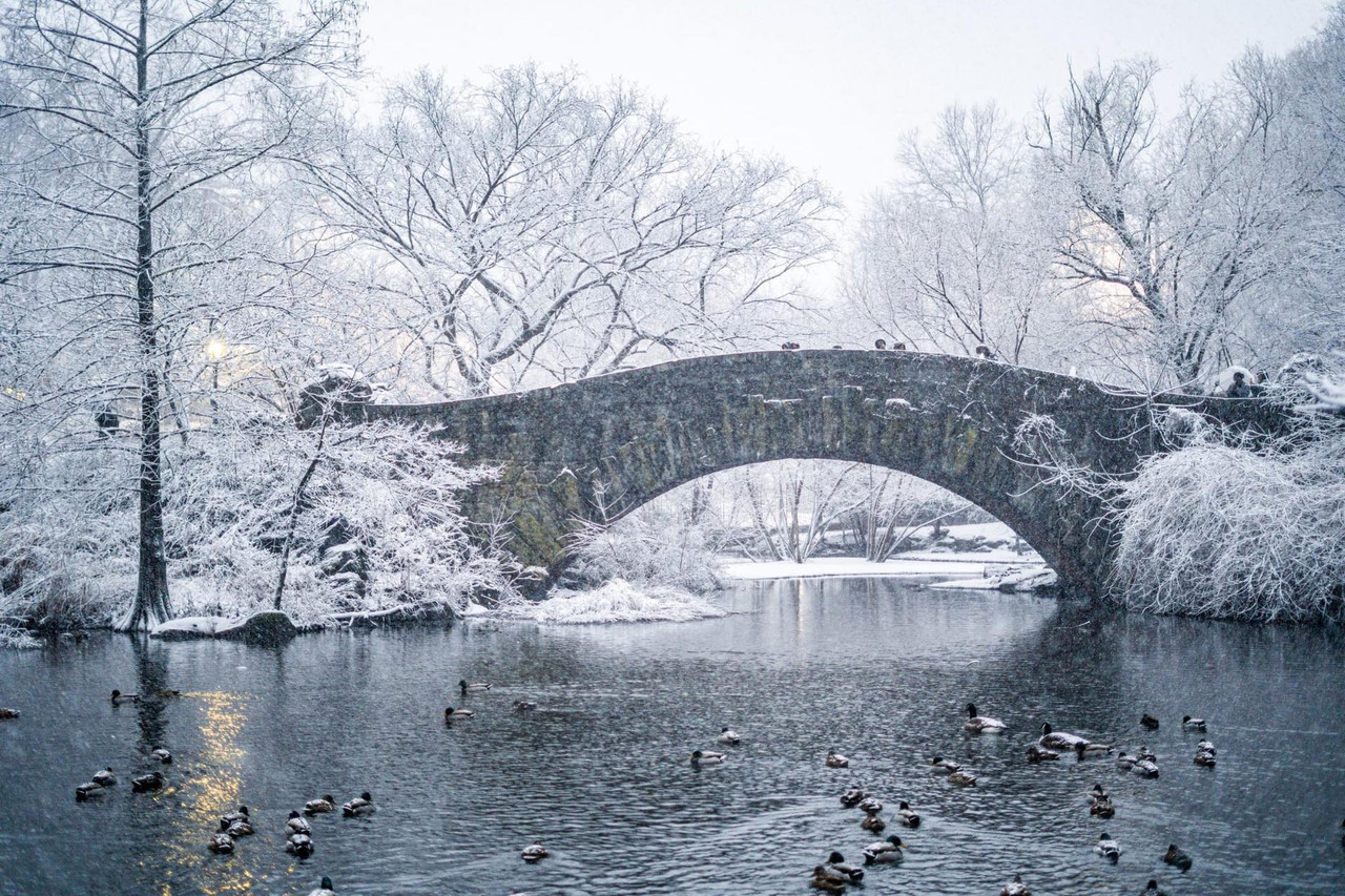 central park snow (15)
