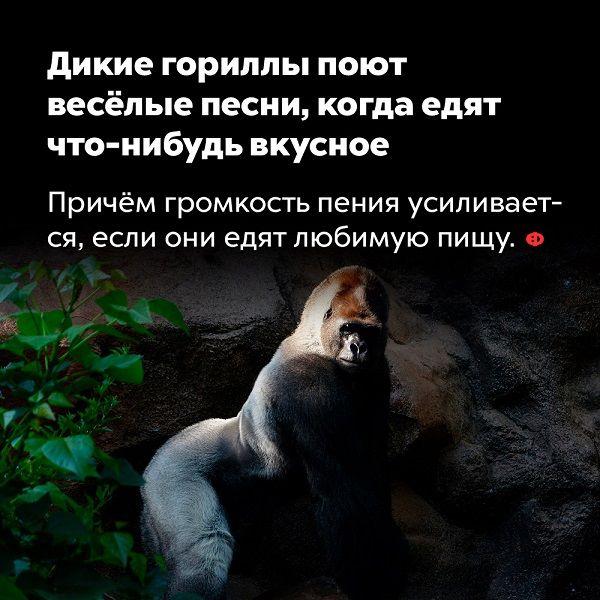 [Изображение: 28bb86e2d4245641c09d71233f931981.jpg]