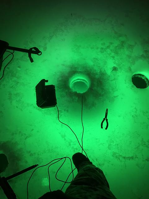 0D04E779-CE1D-4B33-8499-6CB366C3CB5A