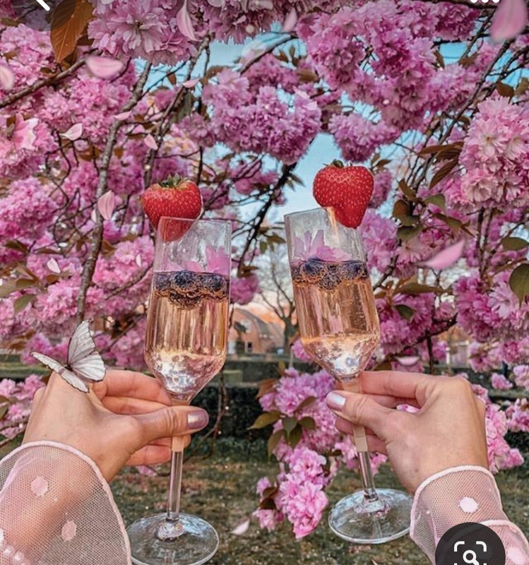 Screenshot_20240209_213059_Pinterest