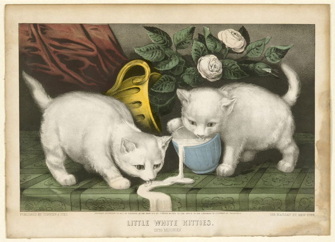 1-Currier-and-Ives-Little-White-Kitties-into-Mischief-Meister-Drucke-1338490
