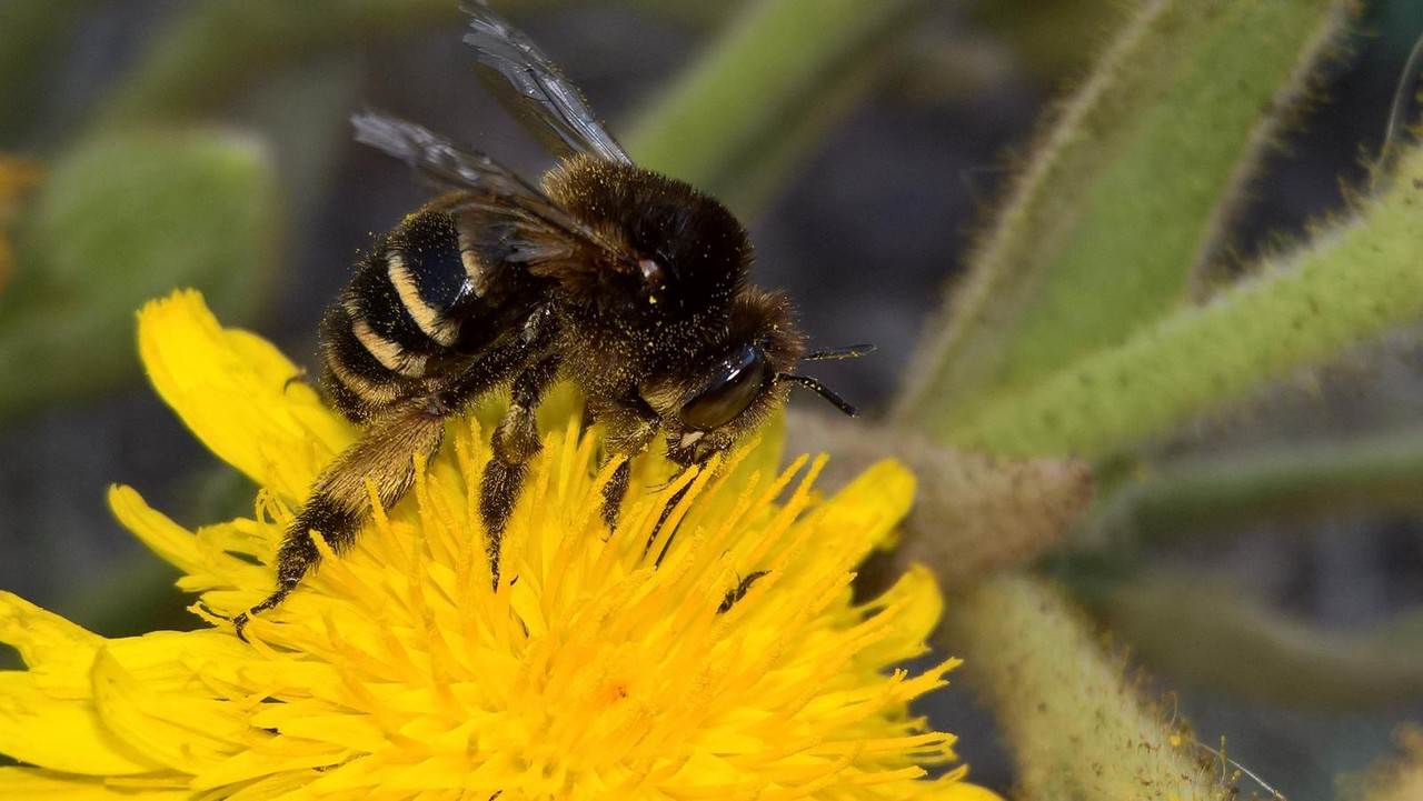 WP_20180608_10_05_02_Pro (2)