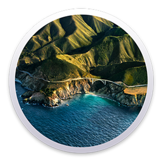 macOS Big Sur 11.6.8 (20G730) Multilanguage