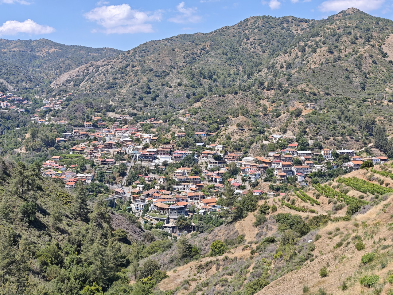IMG 20260616 110144
