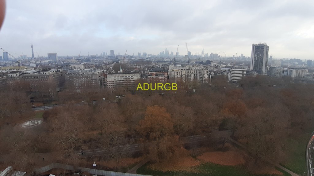 20221209_110552