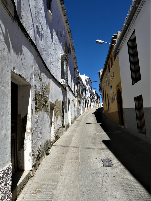 MONTILLA-3-7-2020 - Córdoba y sus pueblos-2017/2020 (61)