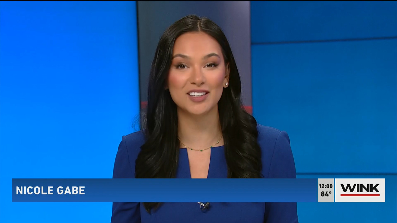 04.24 - 17.00.00 - The WINK Noon News  ᴺᵉʷ. Midday news update..ts_snapshot_06.37.748
