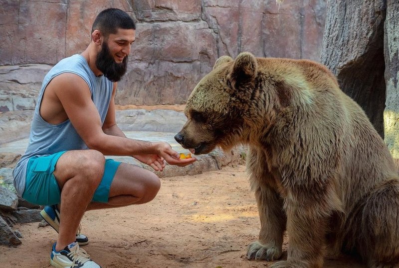 Историята на Хамзат Чимаев: Чеченският вълк, който покори UFC