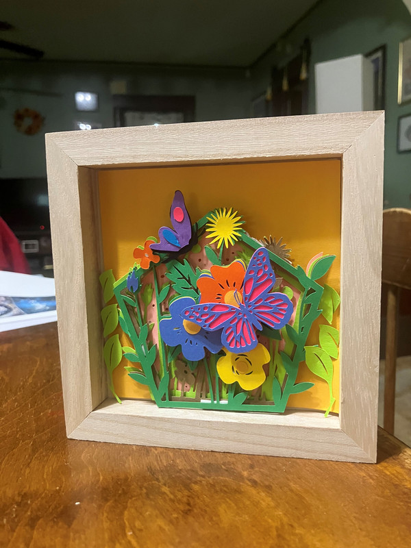 butterfly shadow box