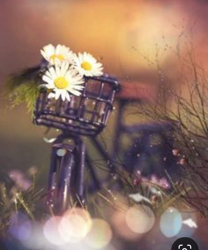 Screenshot_20230712_005952_Pinterest