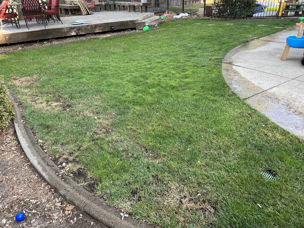 D1004A57-275B-4F79-A0D4-3DC7FD74D6D8