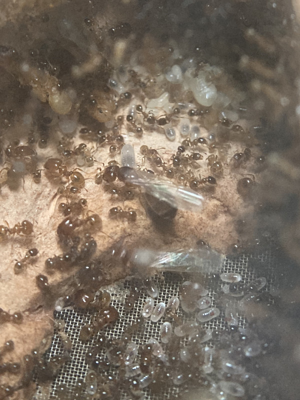 922DEEBB-40BA-4862-96DB-B84FCB49A70D