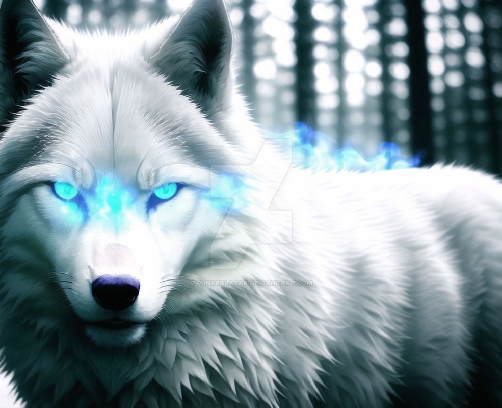 white_wolf_blue_eyes__2__by_punkerlazar_dfp2j4q-fullview