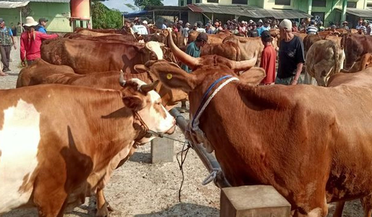 Pelaksanaan Salat Idul Adha dan Partisipasi Masyarakat