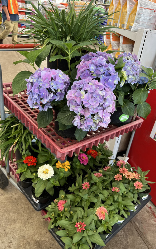 EFD15380-1D23-4D9B-A90C-9D6EE7D04BF5