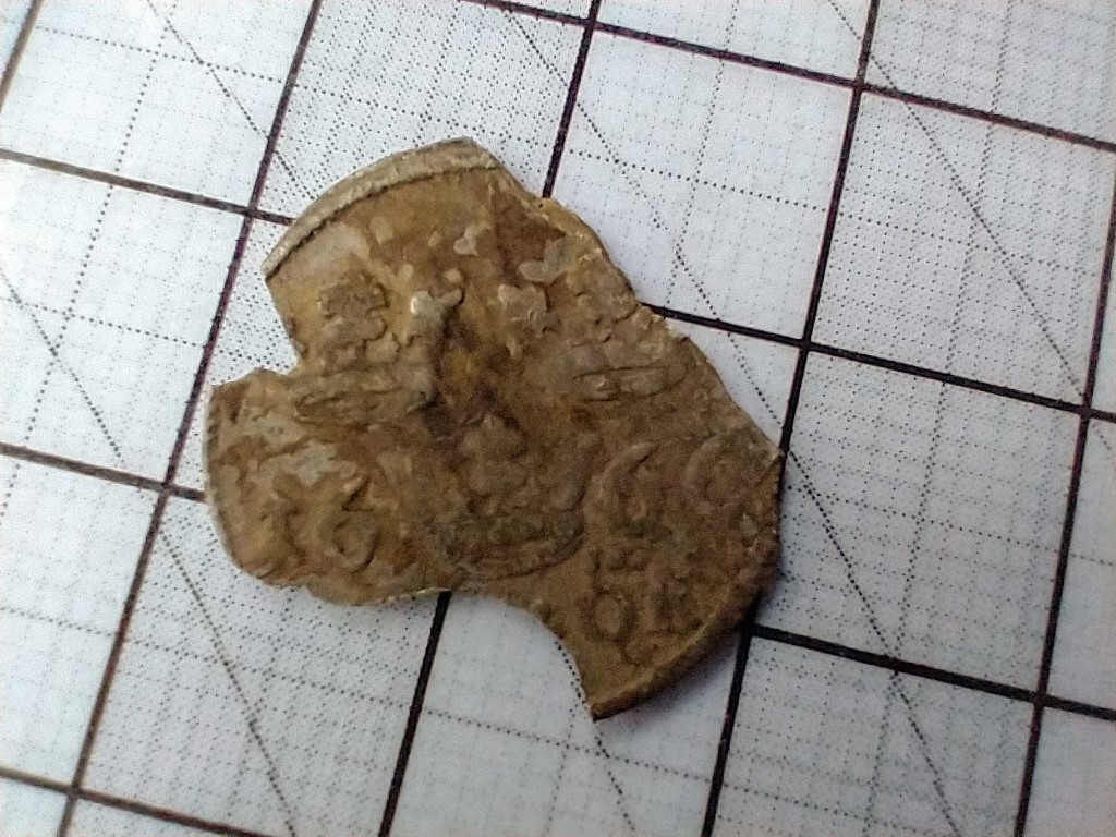 IMG_20210429_181010165 (Medium)