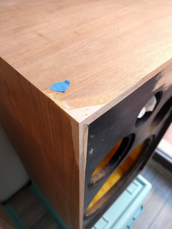 Re Veneer Speaker Matttroy