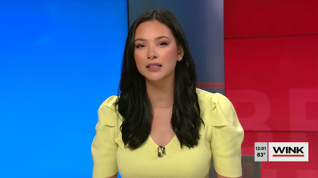 03.29 - 17.00.00 - The Wink Noon News  ᴺᵉʷ. Midday News Update.-1.mp4_snapshot_07.42.049