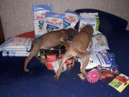 C2B5D47A-CDA6-415D-9FBC-AD2D15B0535A