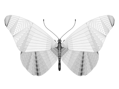 butterfly.gif