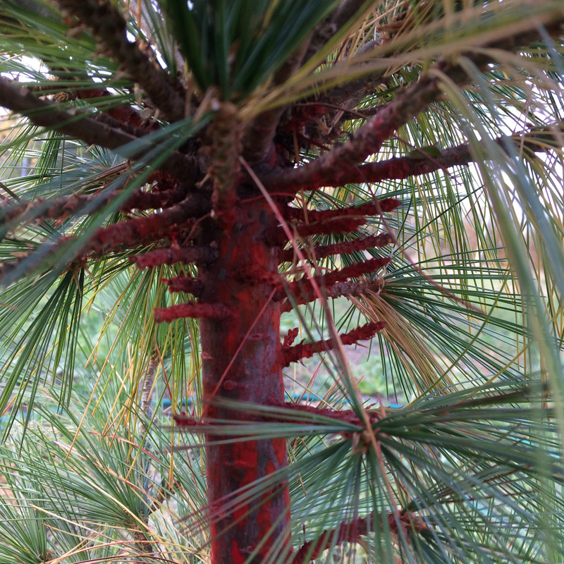 1FDA7FCE-8A04-4799-BD50-49F0B566D79C