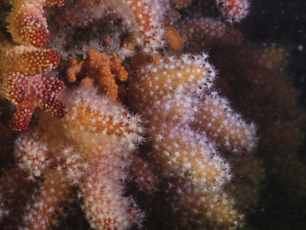 10004_07-04-3TH-5385