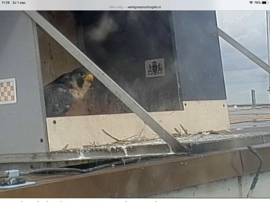 89AC10DE-D51C-4C5E-BEFC-891F71D7148D