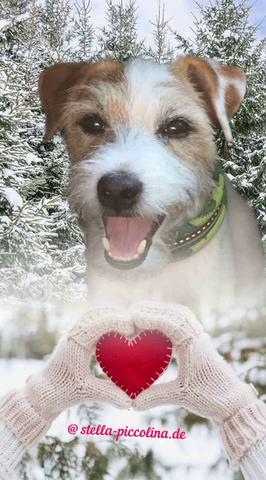 An den Beitrag angehängtes Bild: https://i.postimg.cc/NFHMVBKz/SCHNEE-01.jpg