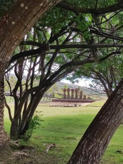 Isla de Pascua - Chile - Blogs de Chile - Vaihu-Ahu Akahanga-Rano Raraku-Ahu Tongariki-Te Pito Kura-Ahu Nau Nau-Anakena (28)