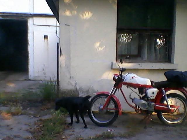 FB IMG 1777060295148