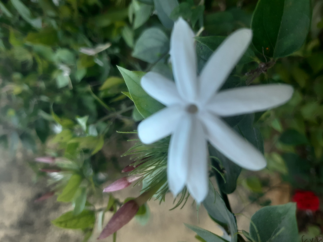 user42065_7ff535b7fd74