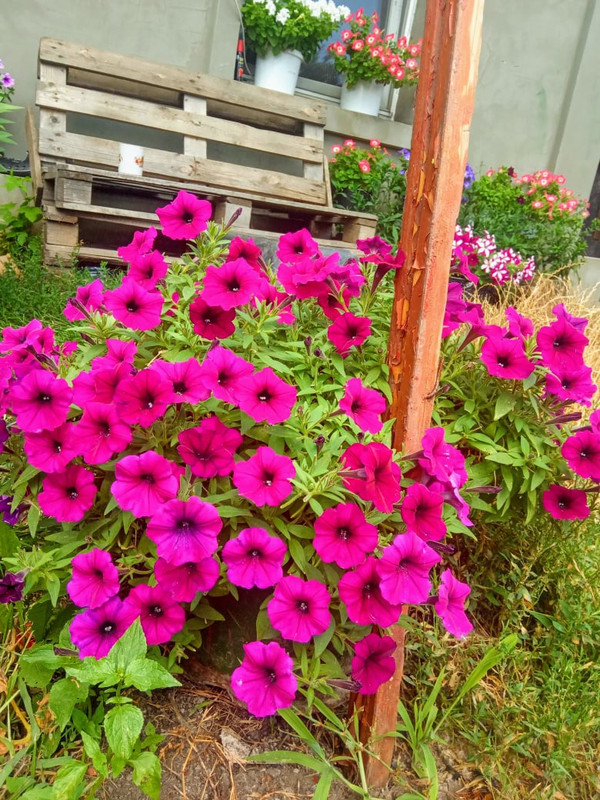 zMDUatuXYcY2wvuzQe4oHGyx1vDcl27qNPw8iRbF4Hu5-axl0-nXKNndL5P_I7YjkUUb_DOf4mqfRlVrz1RsEi90