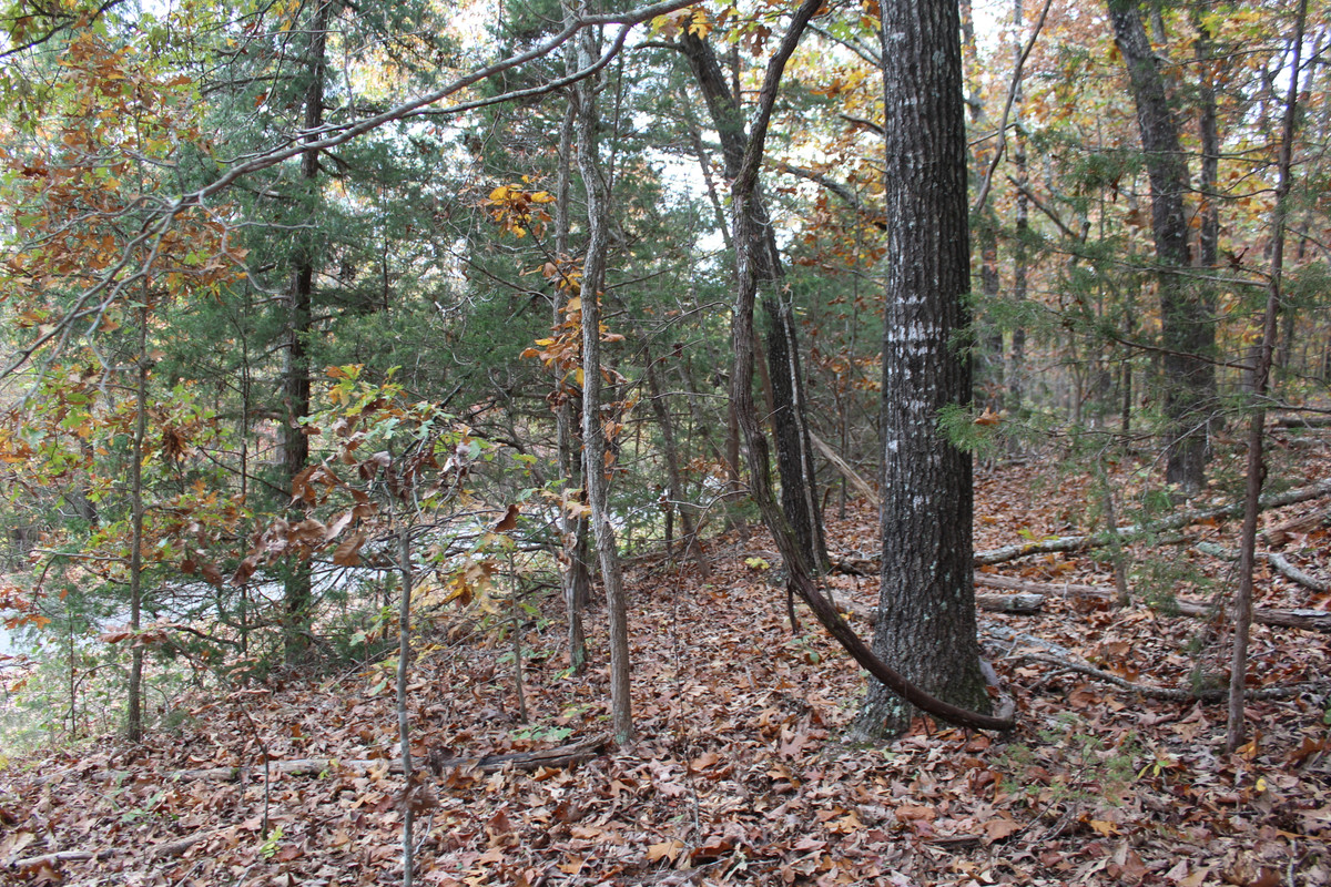 "Seize Your Slice of Serenity: .3 Acres Near Turkey Mountain Golf Course Await!"