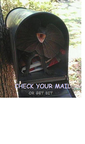 MAIL-CHECK-IT