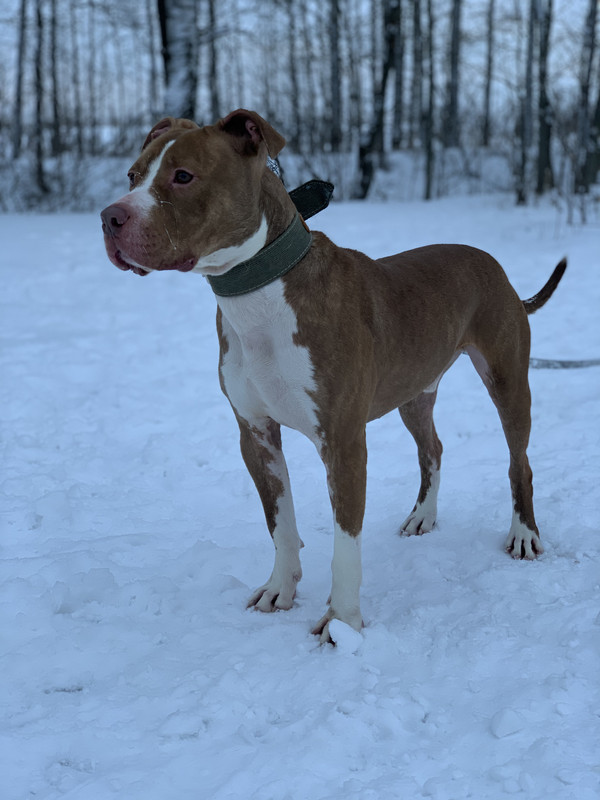 089D978C-5BC3-4A03-A9EF-F9C9150786A2