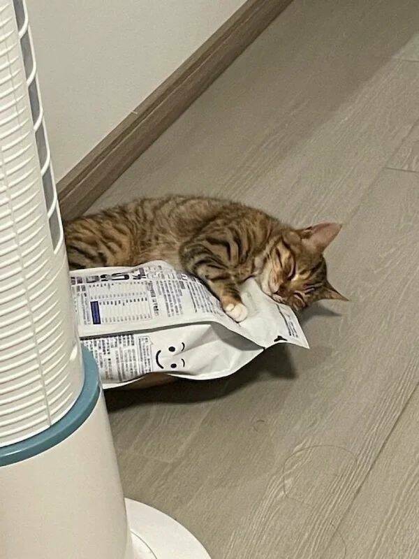 daily-picdump-58-13.jpg
