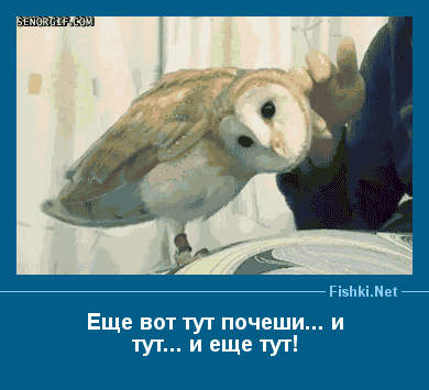 https://i.postimg.cc/NFKFPdM5/04-dem-3.gif