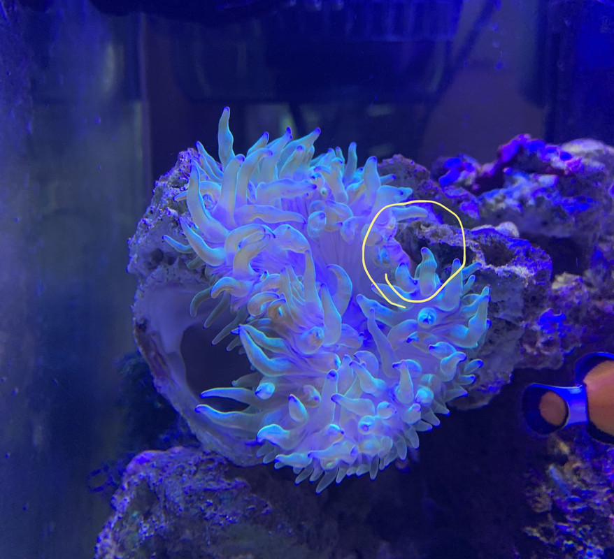 BC94CD67-92C9-4635-B393-E744F38F4B86